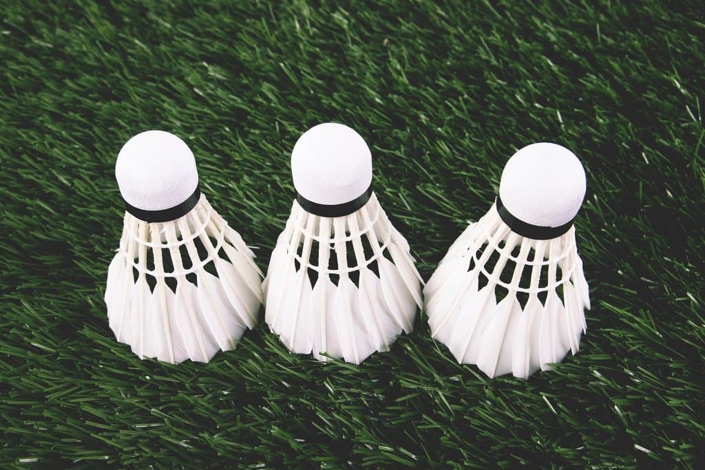 Shuttlecocks
